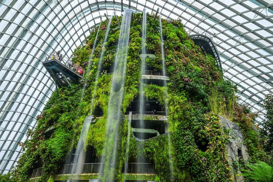 濱海灣花園門票:雲霧林(侏羅紀世界特展)+ 花穹, at Gardens by the Bay, Singapore