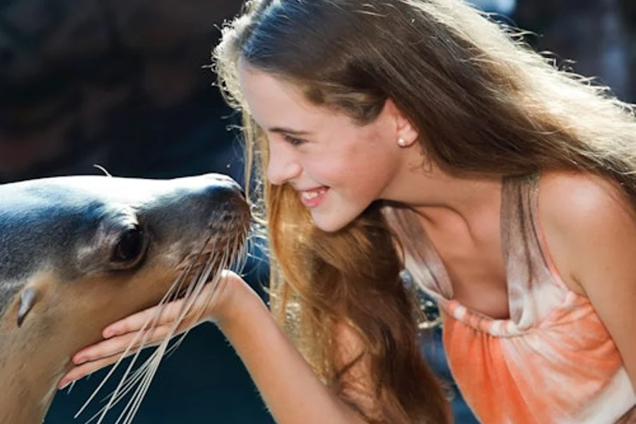 Seal Swim at SEA LIFE Sunshine Coast, Mooloolaba