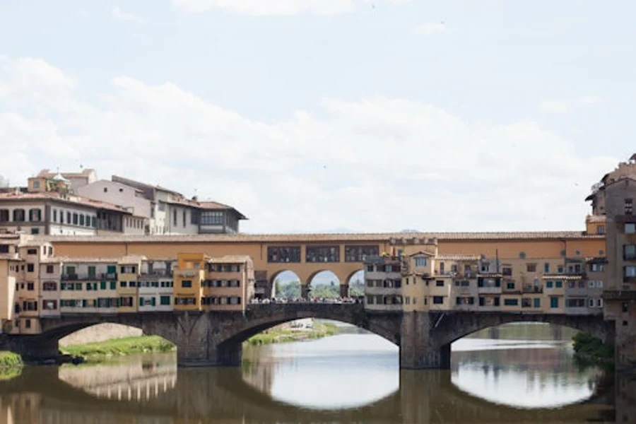 Florence Walk and Talk - In The Medicis' Footsteps, at Florence City Tours, Florence