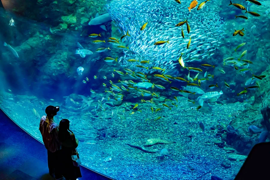 Enoshima Aquarium Tickets, Tokyo