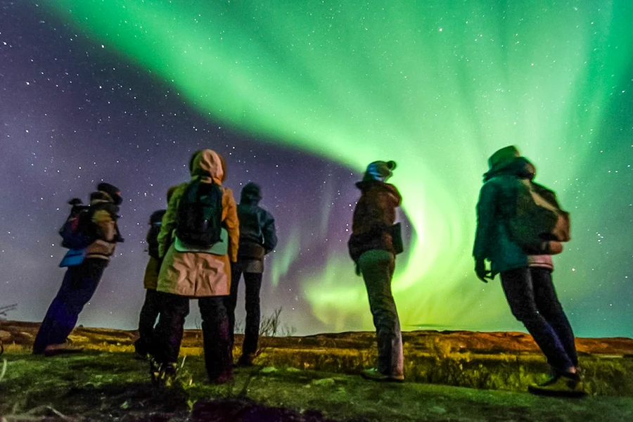 Reykjavik: Northern Lights Small Group Chase Tours, Reykjavik