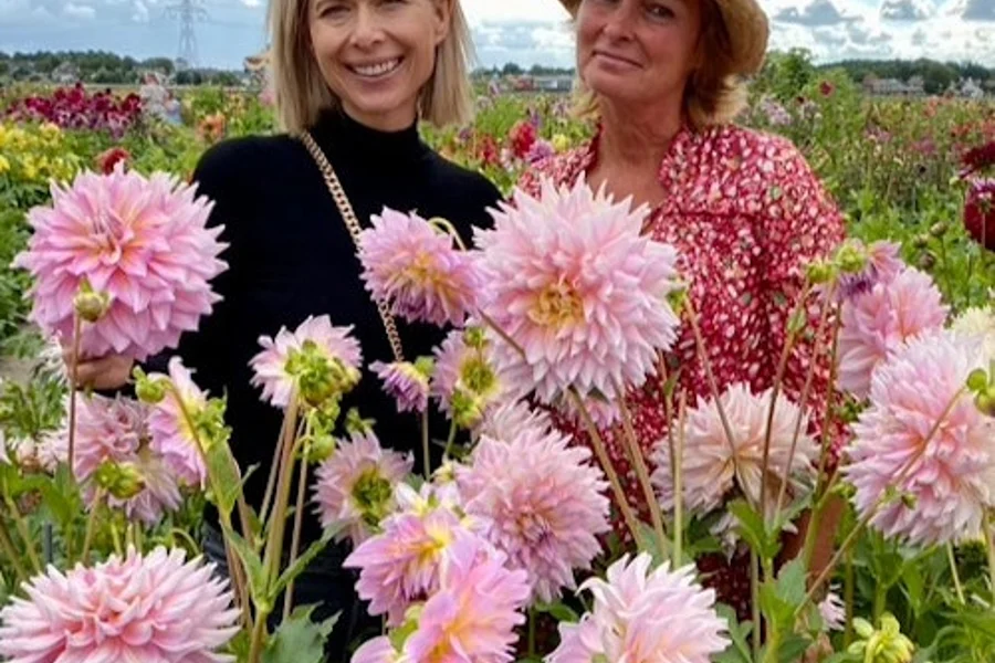 Sommertour auf der Blumenfarm & Windmühlenkreuzfahrt: Tagesausflug von Amsterdam, Amsterdam