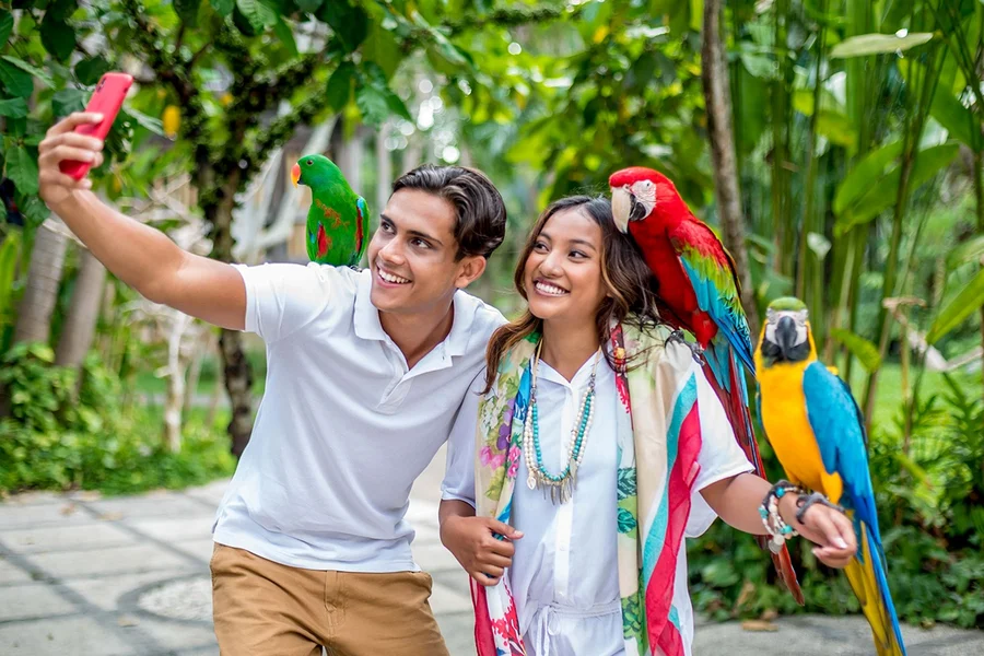 Bali Bird Park Tickets + Optional Lunch with Bird Stars, Bali