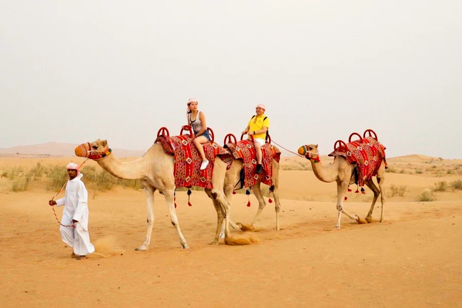 Poranna Pustynna Safari, Dubai