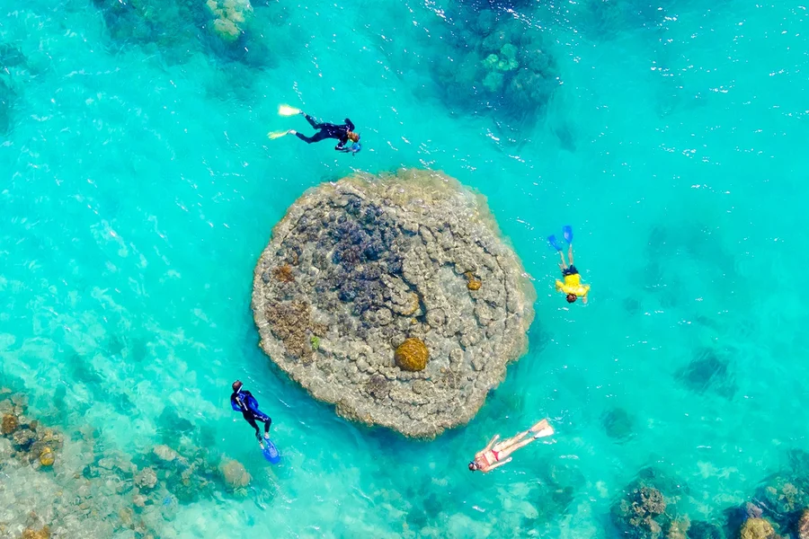 Airlie Beach: Whitsundays Snorkel and Hill Inlet Tour with Hotel Transfers, Whitsundays