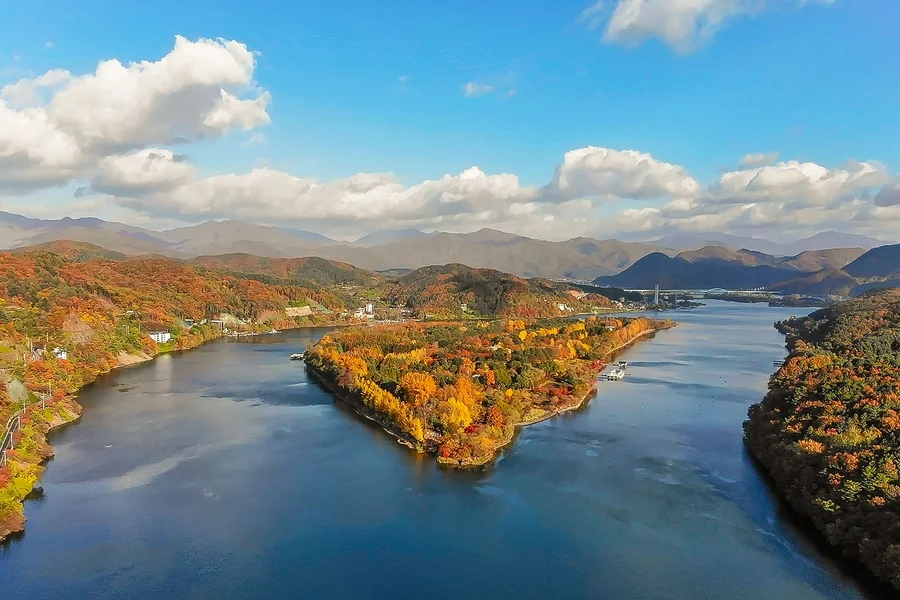 Nami Island Nature Exploration Day Tour with Garden of Morning Calm , Seoul