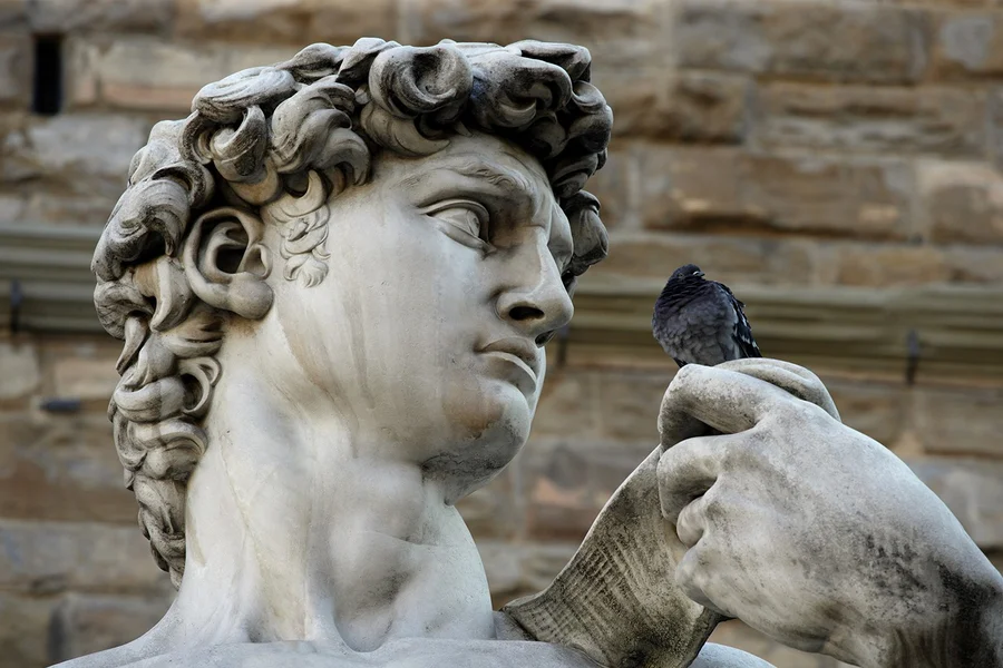 Visita Guidata di Firenze e del Duomo con Biglietti d'Ingresso Riservati per la Galleria dell'Accademia, Florence