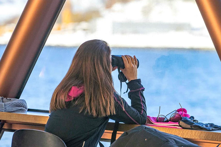 From Tromso: Arctic Fjord Cruise & Wildlife Tour, Oslo
