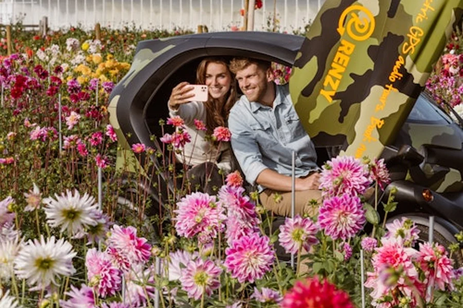 Drive-It-Yourself Dune & Summer Flower Tour, Lisse