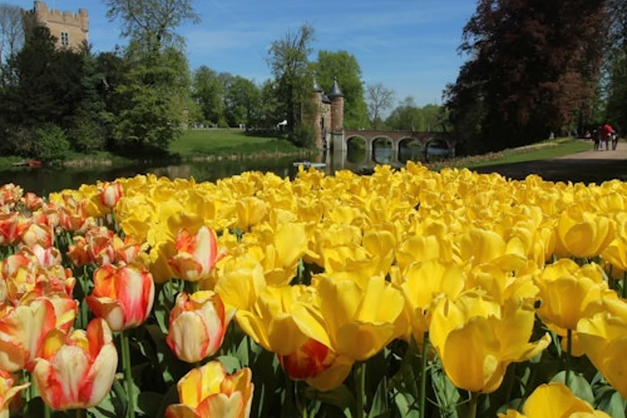 Groot-Bijgaarden Castle: Floralia Brussels Entry Ticket, Dilbeek
