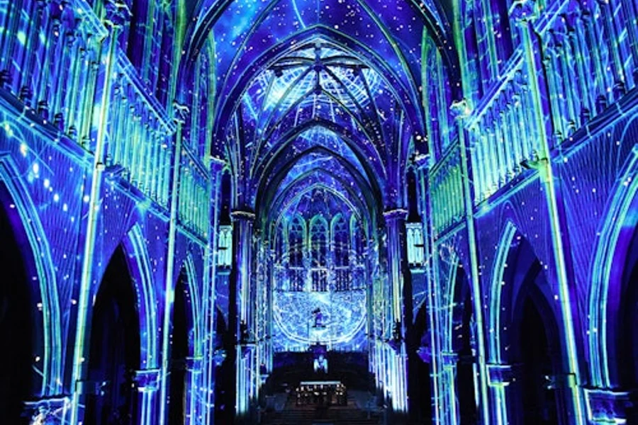 Basilica de Santa Maria del Pi: Indgang til LUMINISCENCE show, Barcelona