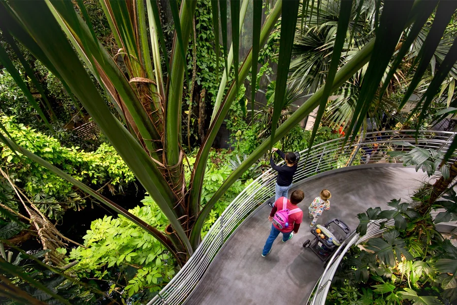 California Academy of Sciences Tickets, San Francisco