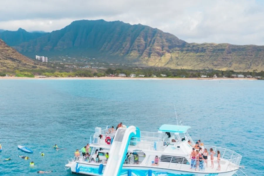 Oahu: Guided Dolphin Watching & Snorkeling Tour + Lunch + Roundtrip Transfer, Hawaii