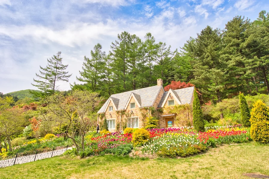 Nami Island Nature Exploration Day Tour with Garden of Morning Calm , Seoul