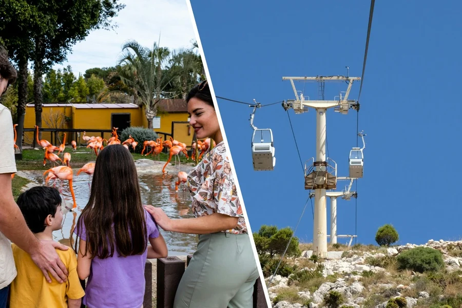 Combo: Selwo Marina with Benalmádena Cable Car, Malaga