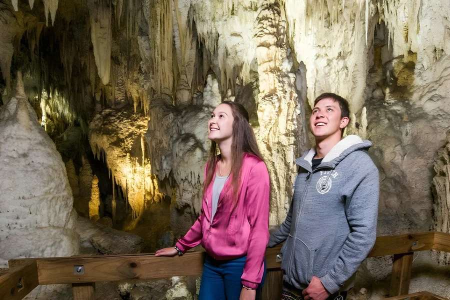 From Auckland: Waitomo Glowworm Caves Guided Tour, Waitomo