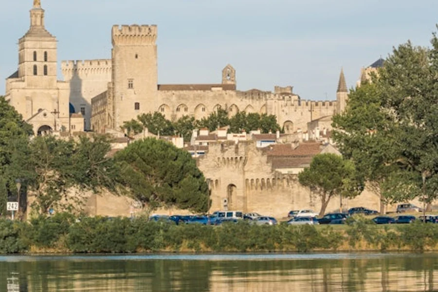 Avinyó i Palau dels Papes: Tour Guiat a Peu, Avignon