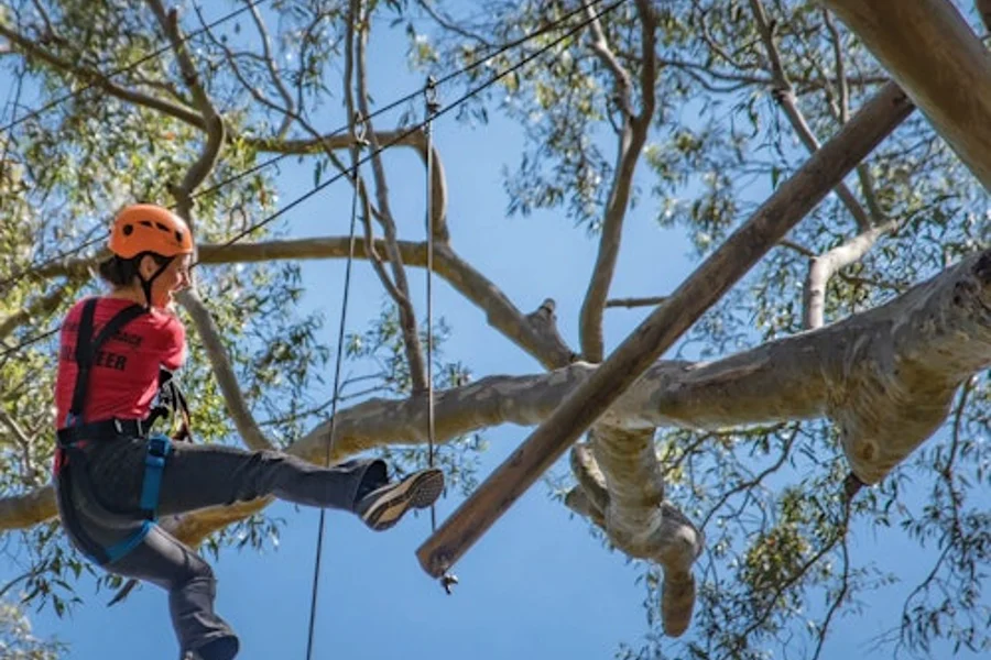 Western Sydney: Treetops Adventure, Abbotsbury