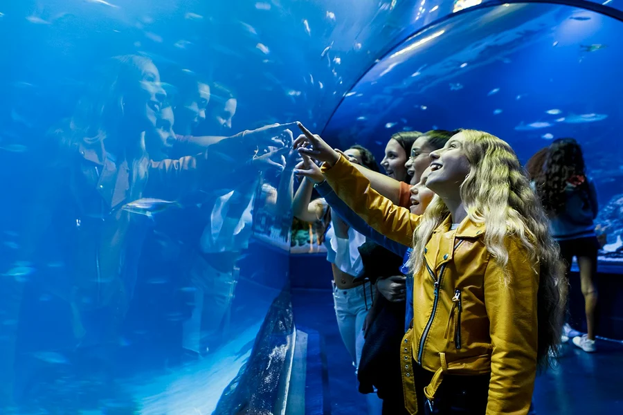 Atlantis Aquarium Madrid Tickets, Madrid