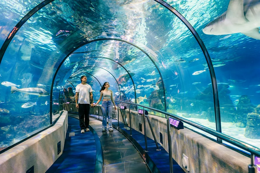 Barcelona Aquarium Skip-the-Line Tickets, Barcelona