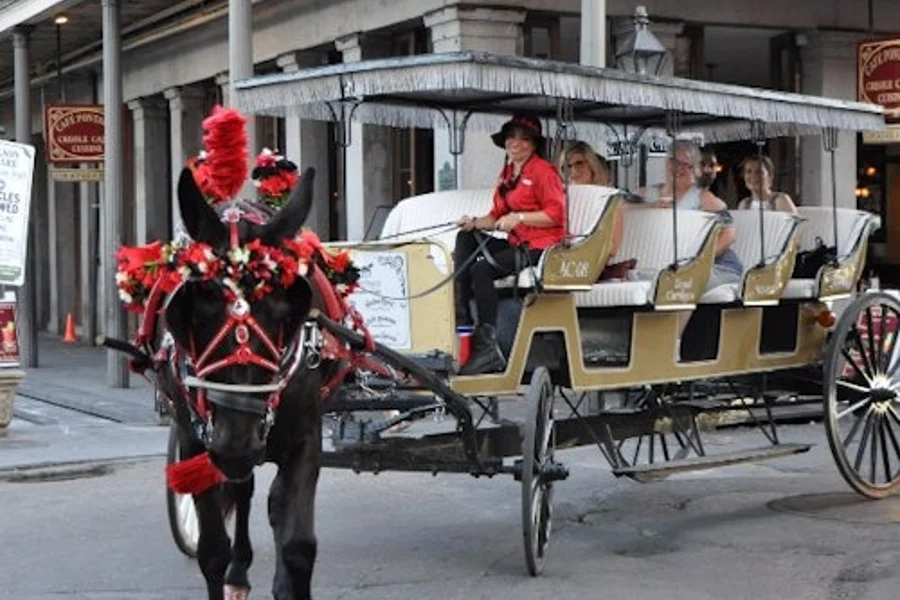 French Quarter by Mule Drawn Carriage: 60-Minute Tour, New Orleans