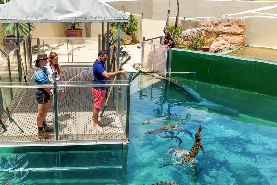 Crocosaurus Cove Tickets with VIP Tour, Darwin