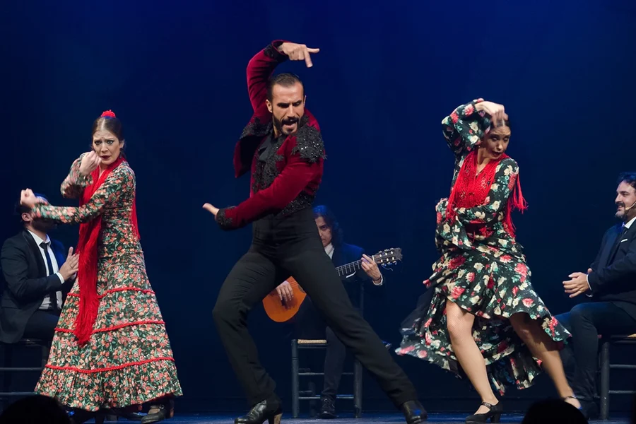 Sensaciones - Teatro Flamenco Granada, Granada