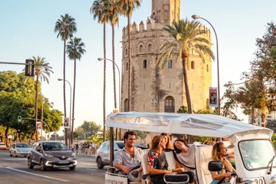 Seville: 1-Hour Tour by Private Electric Tuk Tuk, Seville