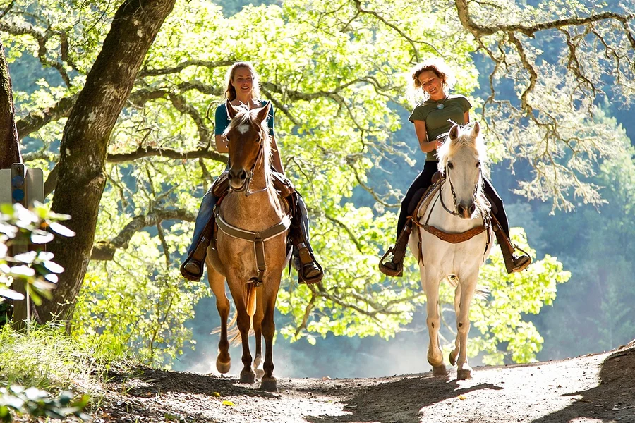تذاكر لتجربة ركوب الخيل لمدة ساعة ونصف من سيينا, Siena
