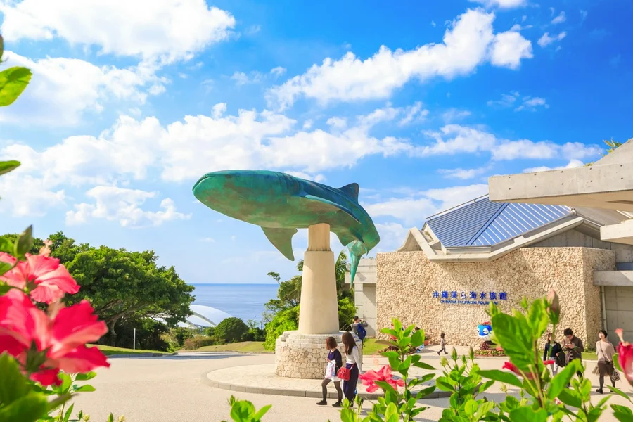 Okinawa Hip Hop Bus Tour with Churaumi Aquarium, Glass Boat Ride & American Village, Okinawa