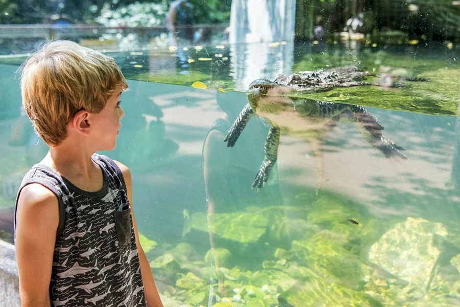 Bronx Zoo Tickets, at Bronx Zoo, New York