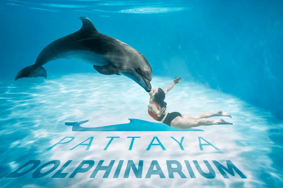 Dolphinarium Pattaya Tickets: Thai Residents, Pattaya