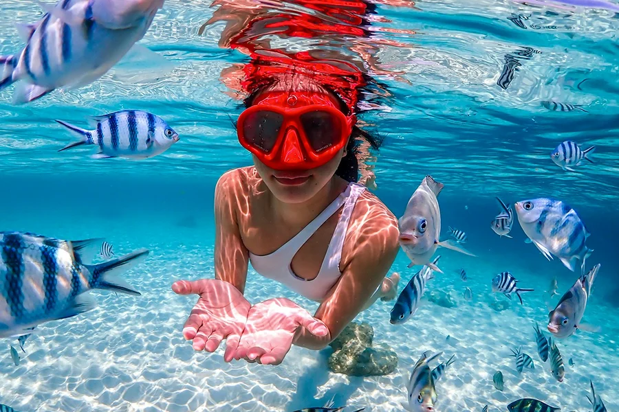 From Pattaya: Nemo Island Guided Trip with Lunch & Drone Photos, Pattaya