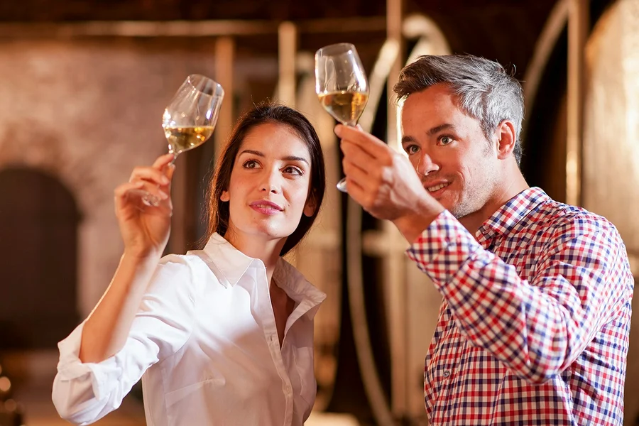 Full-Day Tour of French Riviera Coastal Villages with Wine Tasting, Nice