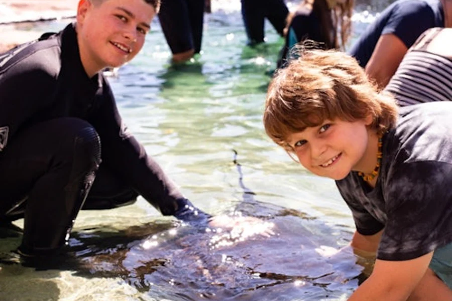 Irukandji Shark & Ray Encounters, Sydney