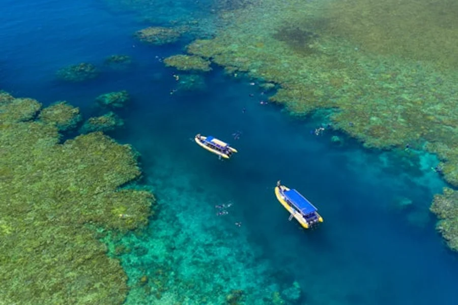 Whitsunday Islands: 1-Hr Flight + Guided Tour from Airlie Beach + Snorkelling, Airlie Beach
