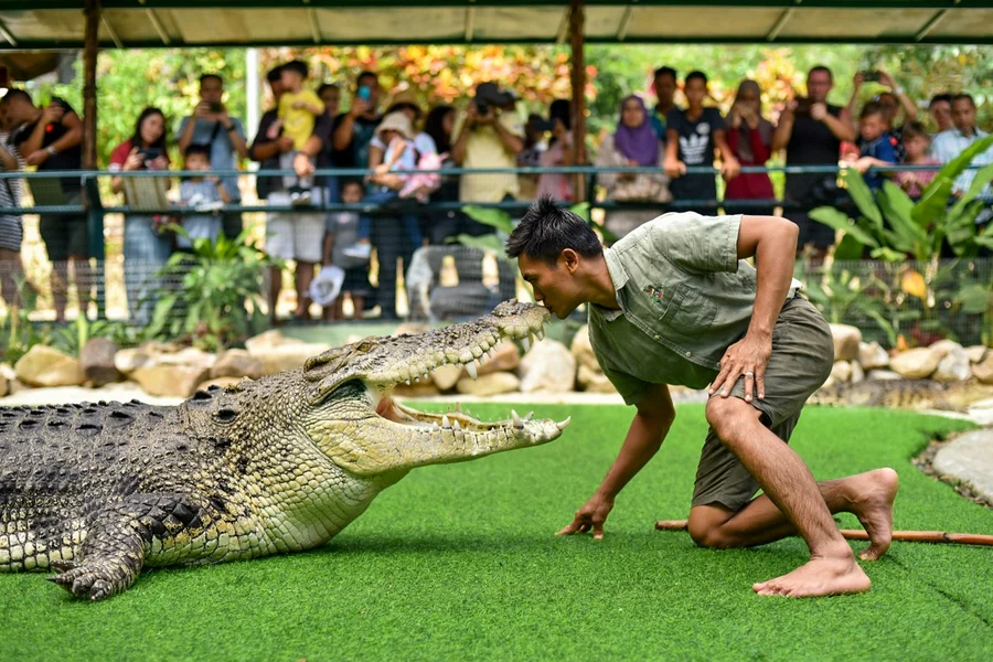 Crocodile Adventureland Langkawi Tickets, Langkawi