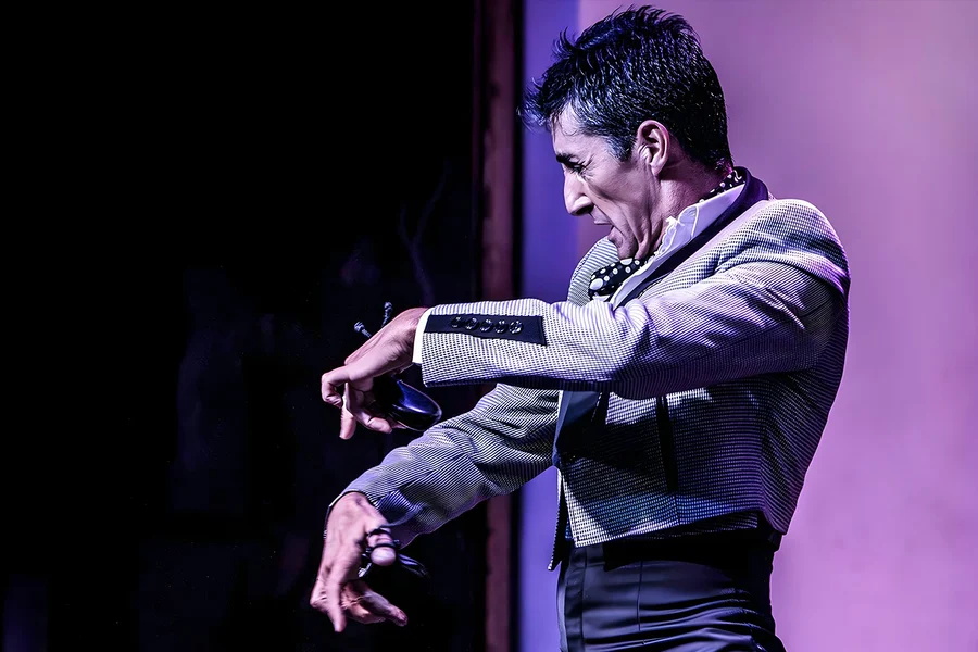 Tablao El Arenal - Flamenco Show, Seville