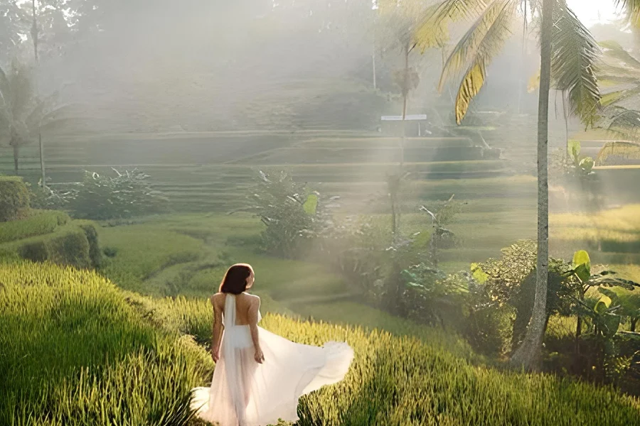 Best Ubud Tour: Monkey forest, Rice Terrace & Waterfall, Bali