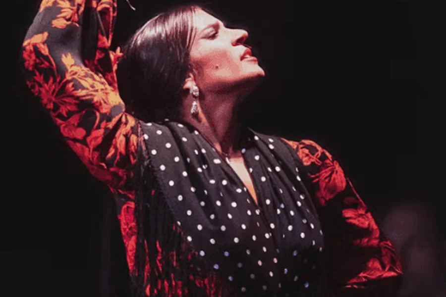 Barcelona City Hall Theater: Flamenco Show, Barcelona