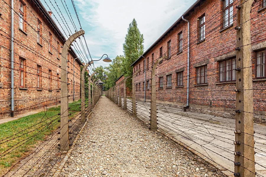 From Krakow: Auschwitz-Birkenau Guided Tour with Hotel Transfers, Krakow