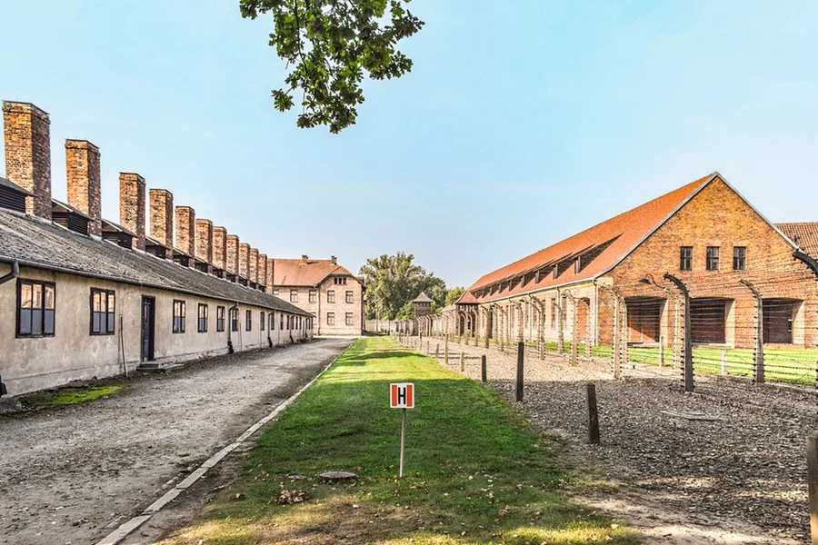 From Krakow: Auschwitz-Birkenau & Wieliczka Salt Mine Guided Tour
, Krakow