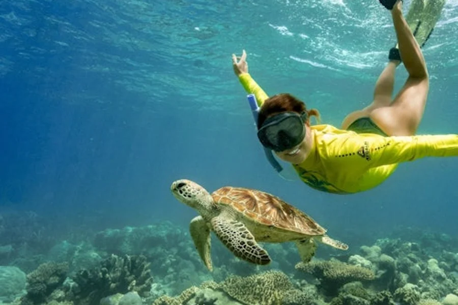 Ocean Safari Great Barrier Reef Tour from Cape Tribulation, Cairns
