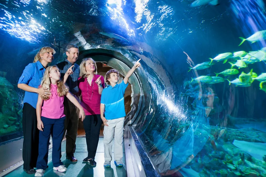 ICON Park Attraction Package: The Orlando Eye, Madame Tussaud's and SEA Life Aquarium, at ICON Park, Orlando