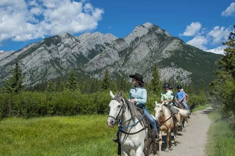 Sundance Loop Trail Ride from Banff, Banff