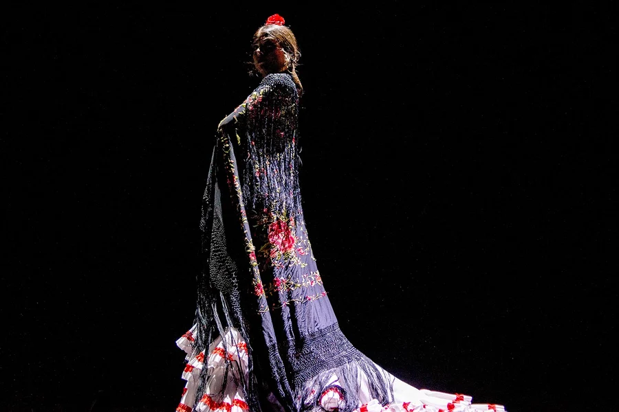Teatro Flamenco Málaga Club - Essence Flamenco Show, Malaga