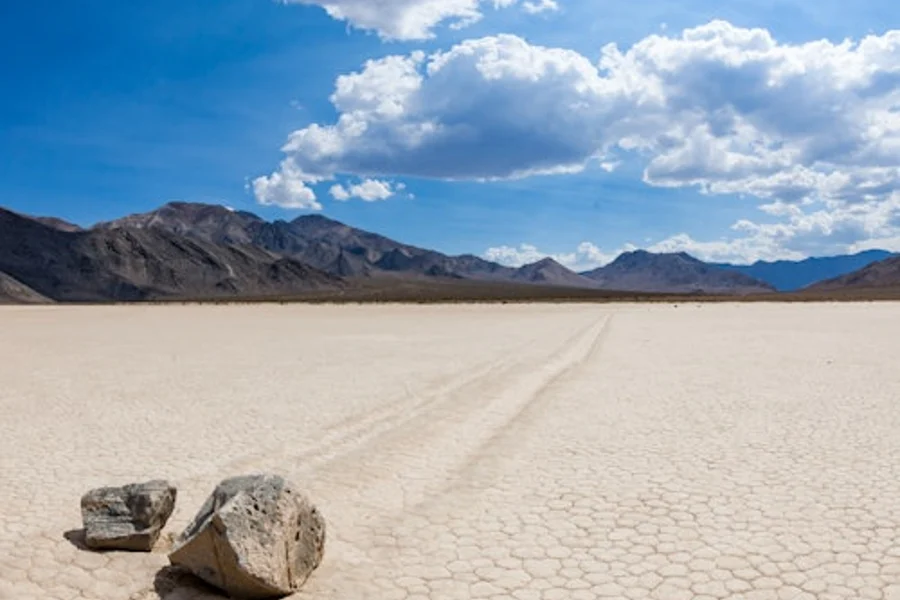 Parco nazionale della Valle della Morte: Andata e ritorno da Las Vegas, Las Vegas
