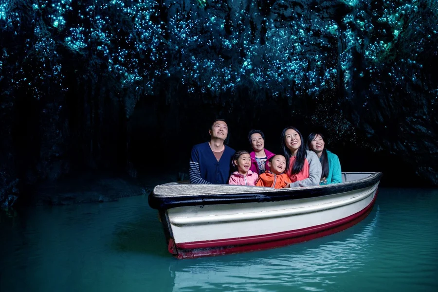 Waitomo Glowworm Caves Guided Tour, Waitomo