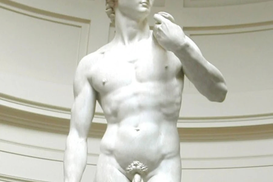 Accademia Gallery: Priority Entry Ticket + Official Audio Guide, Florence
