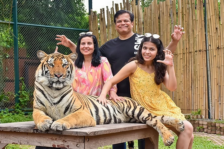 Tiger Kingdom Tickets with Tiger Play Packages, Phuket
